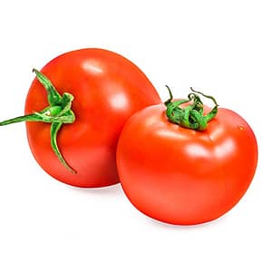 Tomato